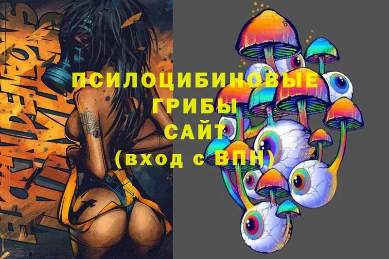 Галлюциногенные грибы MAGIC MUSHROOMS  купить  цена  Бокситогорск 